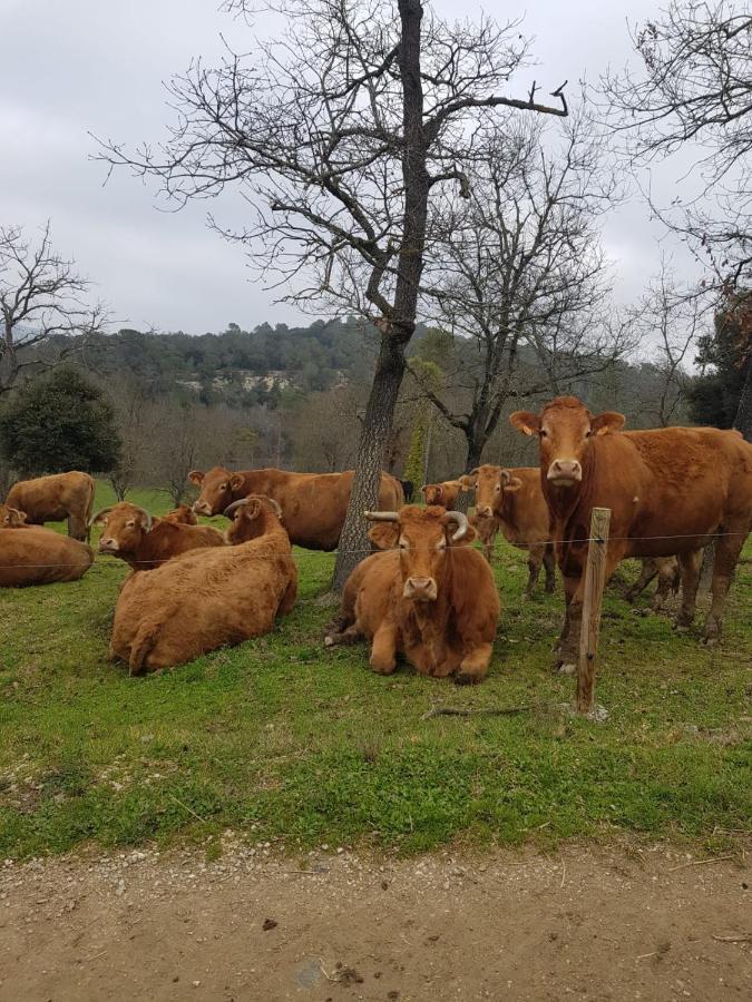 Harveys Homestay - Adults Only Mieres  Esterno foto